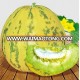 Hybrid Sweet Melon Seeds For Growing-Fairy Sweet Crown