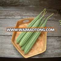 EXPORTER OF RIDGE GOURD SEEDS FOR Australia