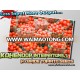 TOP QUALITY HYBRID TOMATO SEEDS ( LESS INPUT & MORE OUTPUT!)