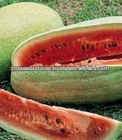 Charleston Grey Watermelon Seeds