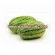 watermelon seeds big shape