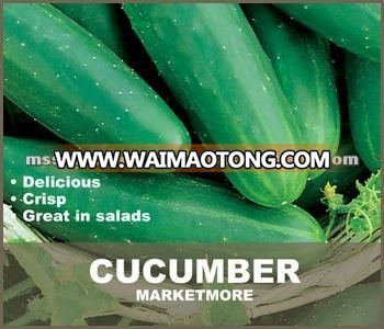 Market More Cucumber Seeds