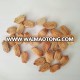 LVYUAN F1 High Quality Bitter Melon Seeds For Growing