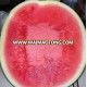 Alice F1 seedless watermelon seeds