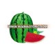 Improve No.6 chinese big size watermelon seeds for sale