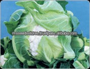 Snow Ball Cauliflower Seeds