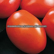 Peto 86 Tomato Seeds