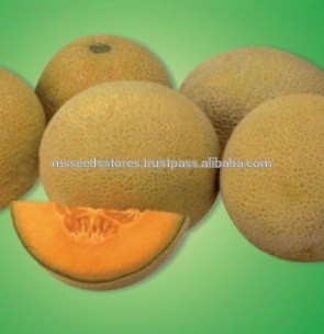 KOLACHI Melon Seeds