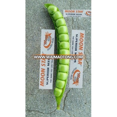 SUPER CLIMAX PEAS SEEDS