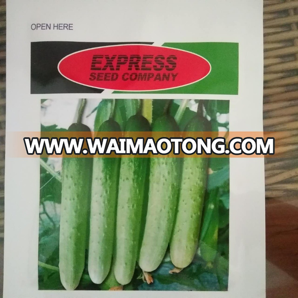 Hybrid f1 white cucumber seeds hot selling product 2017