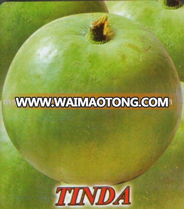 Apple Gourd (Tinda Seeds)